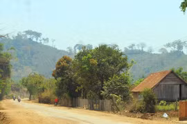 Những cung trầm giữa đại ngàn: Ám ảnh 'ma rừng'