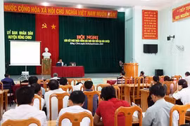 Kông Chro: Nông dân liên kết trồng dâu nuôi tằm