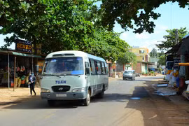 Màu xanh trên chiến địa xưa