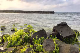 Mở rộng phạm vi công viên địa chất Lý Sơn - Sa Huỳnh đến 4.000km²