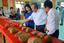 Quảng bá giá trị hệ thống di chỉ khảo cổ học An Khê