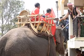 Đến Buôn Đôn xem lễ cúng sức khỏe cho voi