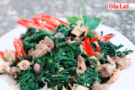 Món ngon từ lá mì