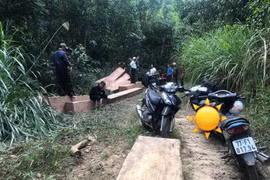 Khởi tố 3thanh niên độ xe công nông,thuê người cùng đi phá rừng ở ĐắkLắk