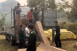 Phát hiện đưa gỗ trái phép từ Lào về Việt Nam