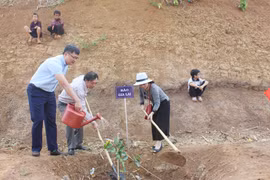 Trồng cây lưu niệm và thăm mô hình phát triển kinh tế