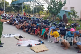 Triệt xóa trường gà có cả "bóng hồng" tham gia