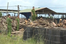 Đắk Lắk: Phát hiện bãi gỗ khủng không rõ nguồn gốc trong lò than