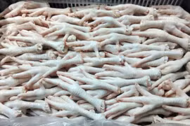 50 tấn chân gà đông lạnh nhập nằm tại cảng 2 năm