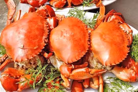 6 loại thức ăn để qua đêm gây hại cho sức khỏe,thậm chí ung thư