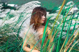 "Check in" cánh đồng cỏ lau tại Đà Nẵng