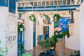 5 chỗ ngủ giá rẻ cho nhóm bạn đi 'săn' dã quỳ Đà Lạt