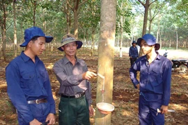 Tăng cường thanh-kiểm tra chuyên ngành bảo hiểm xã hội