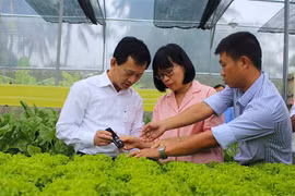 Bí thư Tỉnh ủy Dương Văn Trang tham gia mô hình HTX tại An Khê