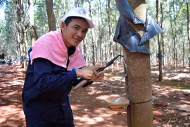 Ngày hội "bàn tay vàng"