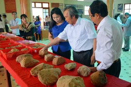 An Khê: Phát triển du lịch gắn với di tích khảo cổ