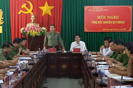 Đắk Nông phát hiện,xử lý 431 vụ vi phạm quy định về QL đất rừng