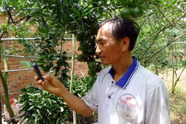 Đào tạo nghề cho nông dân "cách mạng 4.0"