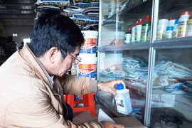 Chư Pah: Kiểm tra 40 cơ sở kinh doanh phân bón, thuốc BVTV