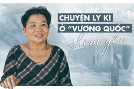 Chuyện ly kì ở "Vương quốc" chim yến