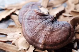 Trẻ hóa cơ thể bằng thực phẩm