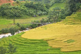 Kỳ thú ruộng bậc thang bên núi Ngọc Linh