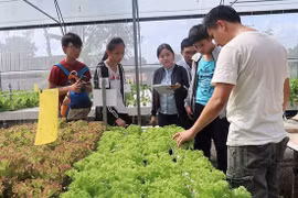 Những bạn trẻ sáng tạo robot phục vụ xã hội