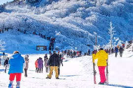 Lễ hội câu cá trên sông băng ở Hàn Quốc