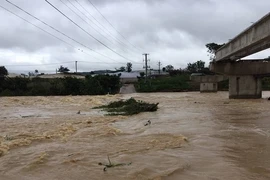 Vựa rau của Lâm Đồng bị ngập nặng