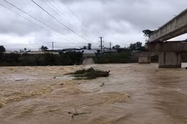 Vựa rau của Lâm Đồng bị ngập nặng