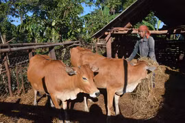 Chư Prông quyết tâm giảm nghèo bền vững