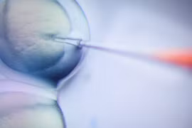 Đón hai bé sinh đôi được chỉnh sửa gen đầu tiên trên thế giới