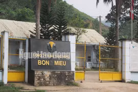 Vàng Bồng Miêu chính thức phá sản, để lại số nợ gần 1.000 tỉ đồng