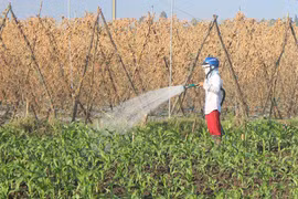 Phía Đông tỉnh Gia Lai nguy cơ thiếu nước tưới vụ Đông Xuân