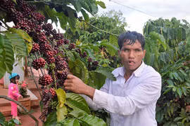 "Cứ đi, phía trước sẽ có đường"