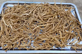 Sản vật của rừng