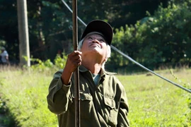 Căng tai, dõi mắt đi săn ong rừng