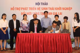 Hỗ trợ phát triển khởi nghiệp ở Gia Lai cần thực chất, hiệu quả