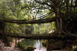 Chiêm ngưỡng những cây cầu kỳ lạ trên thế giới