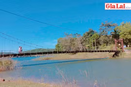 Những chiếc cầu treo