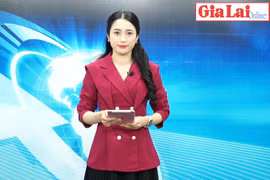 Gia Lai 48h: Đồng chí Nguyễn Thị Thanh Lịch giữ chức Phó Bí thư Ban cán sự Đảng UBND tỉnh nhiệm kỳ 2021-2026