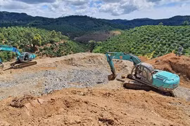 Lâm Đồng: Xử phạt 50 triệu đồng vì san ủi đất rừng quy mô lớn