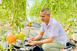 Nguyễn Tấn Công-Người truyền cảm hứng nông nghiệp xanh