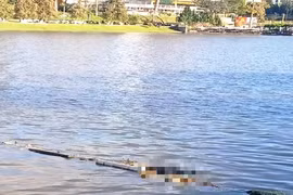 Phát hiện thi thể người đàn ông nổi trên hồ Xuân Hương Đà Lạt