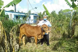 An Khê chỉ còn 302 hộ nghèo