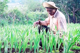 Pleiku lan tỏa phong trào thi đua "Dân vận khéo"