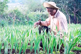 Pleiku lan tỏa phong trào thi đua "Dân vận khéo"