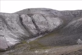 Mẫu ADN cổ xưa nhất hé lộ hệ sinh thái đặc biệt 2 triệu năm tuổi