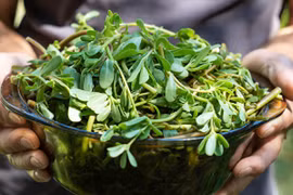 3 lợi ích của rau sam đối với đường huyết cao