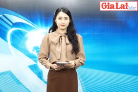 Gia Lai 48h: Dự án đường liên huyện Chư Sê-Chư Pưh-Chư Prông: Nguy cơ trả vốn vì vướng mặt bằng